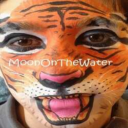 MoonOnTheWater- 5 Star Balloons & Painting Parties, profile image