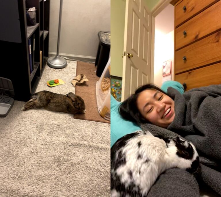 (Later we realized that Twix and Fluffy did not get along.) 