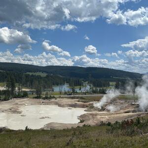 Gallery Photo 107