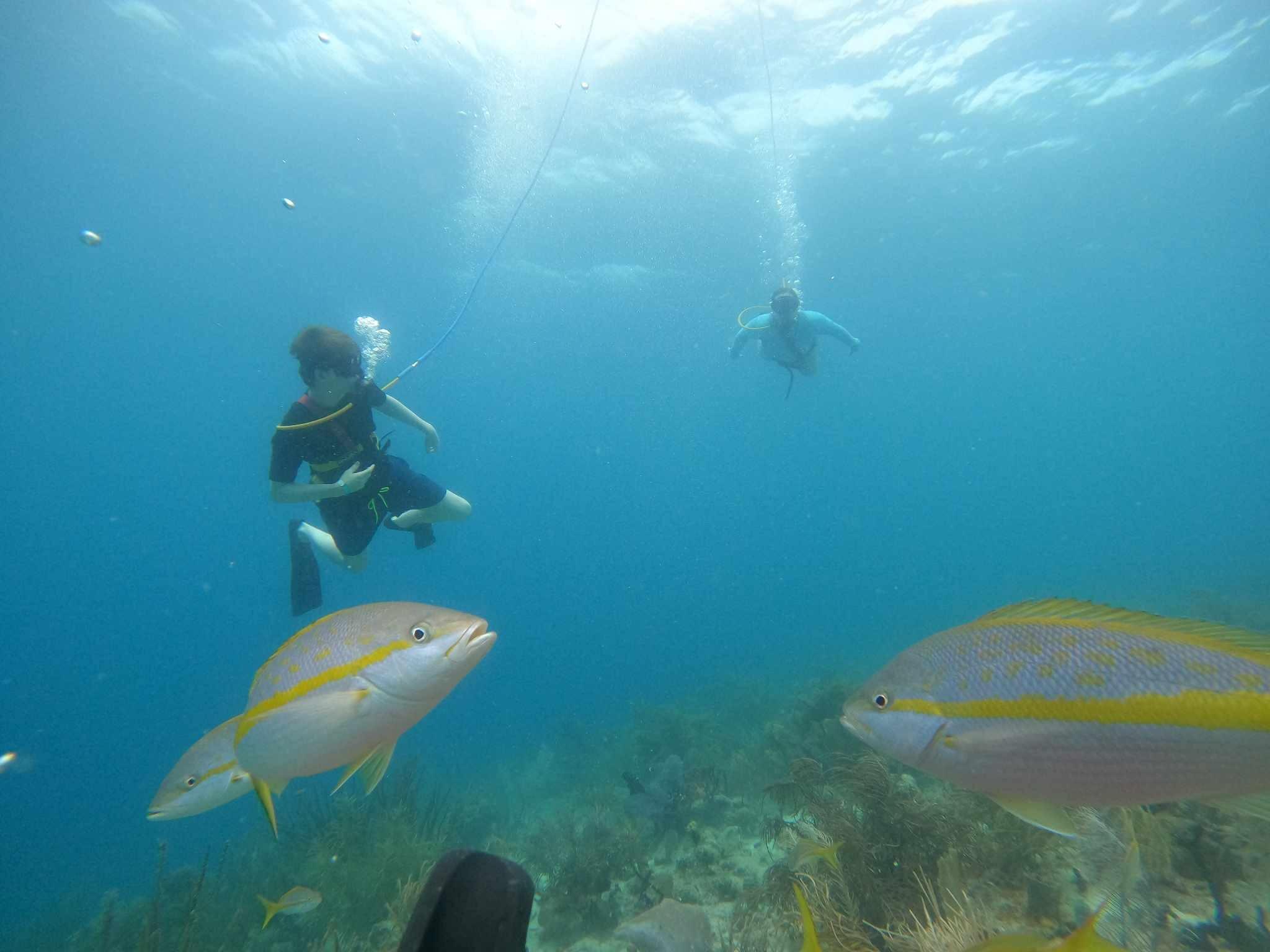 SNUBA: a cross between snorkeling and scuba diving