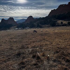Gallery Photo 21