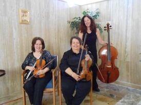 OhioStrings4Hire - String Quartet - Akron, OH - Hero Gallery 1