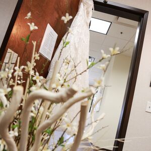 Gallery Photo 5