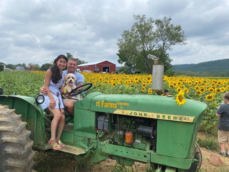 Sunflower Fields at Ort Farms