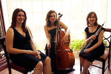 Arioso Trio - Chamber Music Trio - Pittsburgh, PA - Hero Main
