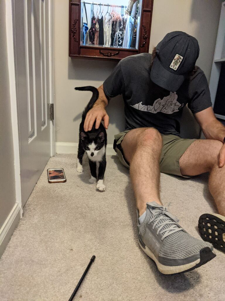 In August, they adopted a tuxedo cat and named him Benny. 