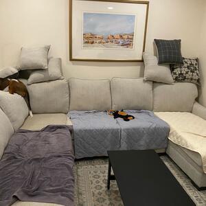 Gallery Photo 60