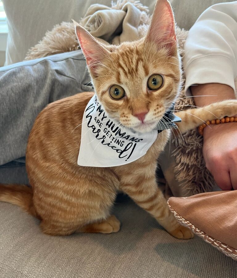 Thomas and Alex adopted their first pet, Bagel. He enjoys basking in the sun, playing fetch and begging for food constantly. 