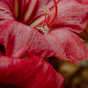 Gallery Photo 41