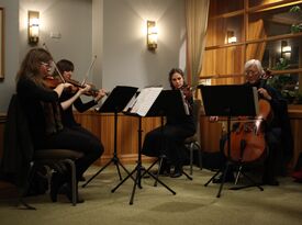 Protea String Quartet - String Quartet - Bellingham, WA - Hero Gallery 2