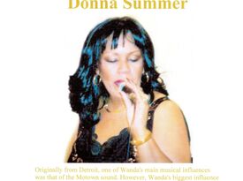 Wanda As Donna - Tribute Singer - Waterford, MI - Hero Gallery 1