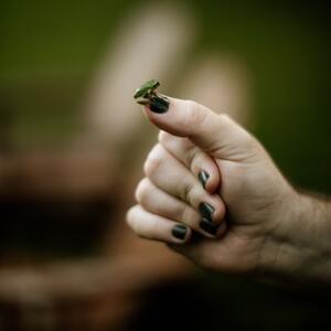 Gallery Photo 46