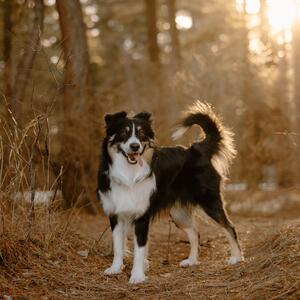 Gallery Photo 20