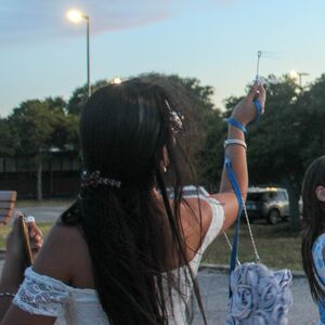 Gallery Photo 93