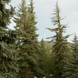 Gallery Photo 8