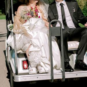 Gallery Photo 41