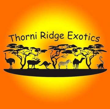 Thorni Ridge Exotics LLC - Petting Zoo - Smithton, MO - Hero Main