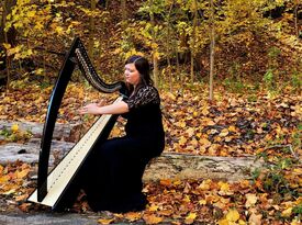 Elizabeth Webb, Harpist - Harpist - Fort Garland, CO - Hero Gallery 3