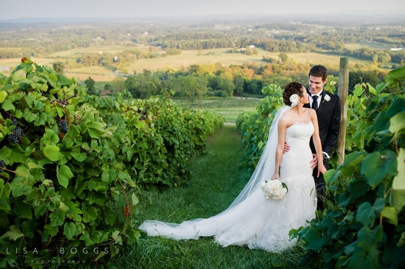 Bluemont winery hotsell