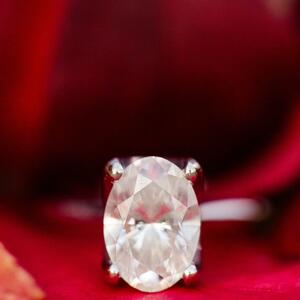 Gallery Photo 33