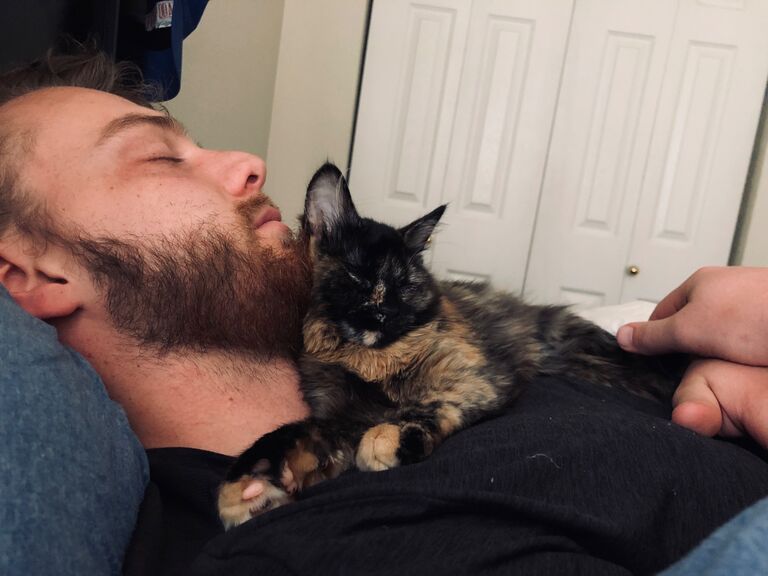 Adopted their first baby, Nala!