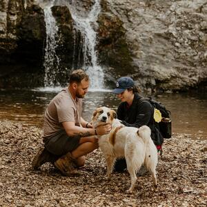 Gallery Photo 52