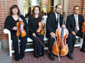 Star String Quartet - String Quartet - Grosse Pointe, MI - Hero Gallery 4