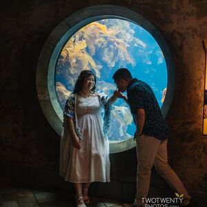 Gallery Photo 3