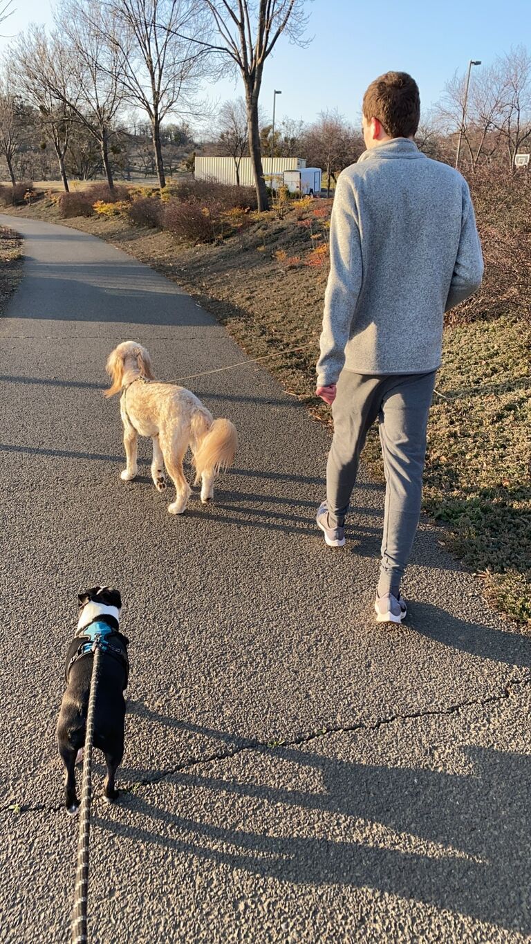 First of many walks.