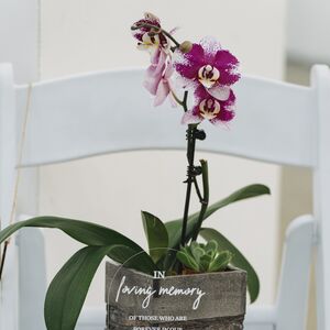 Gallery Photo 4