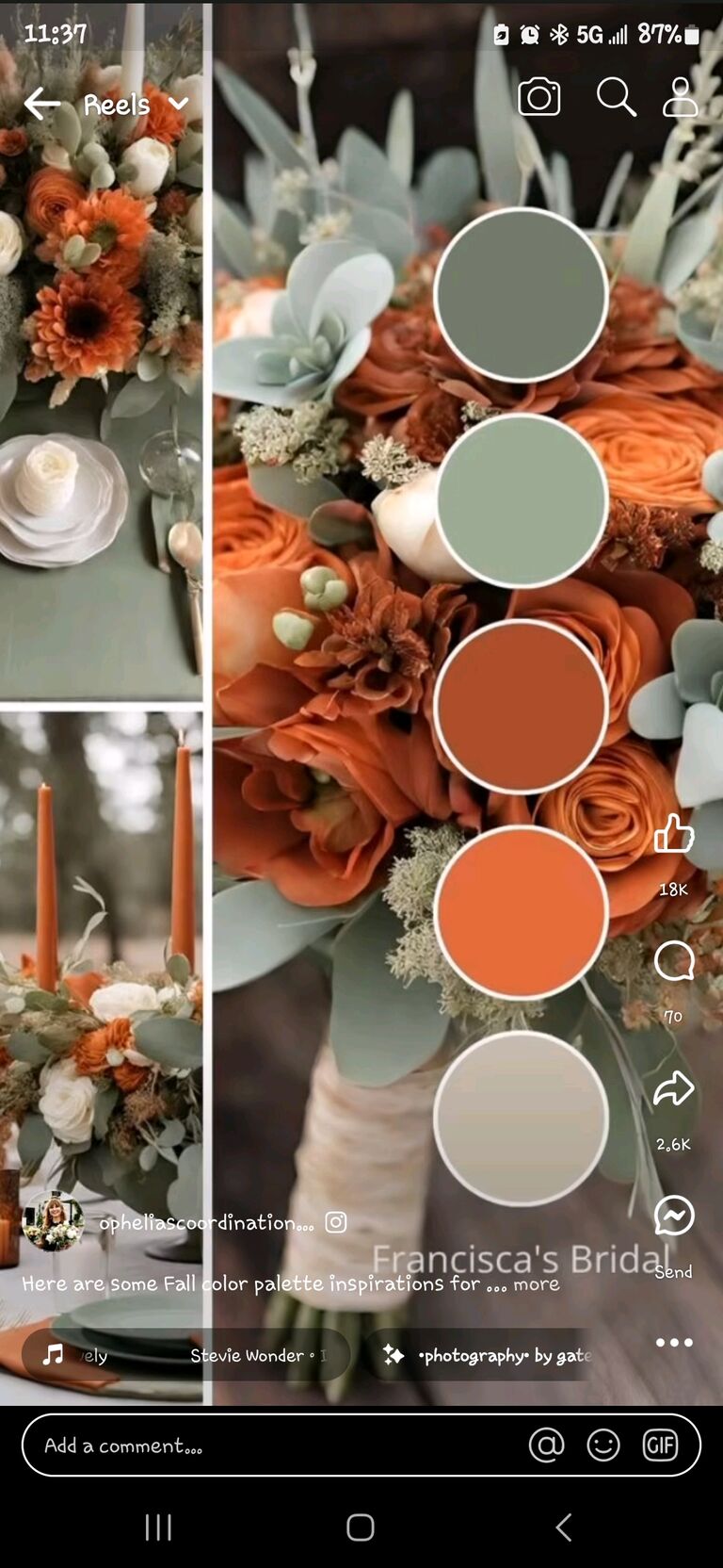 Our Wedding Colors