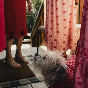Gallery Photo 28