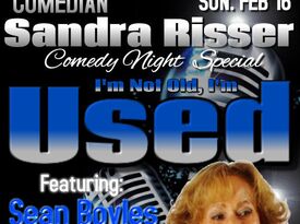 Sandra Risser - Comedian - Phoenix, AZ - Hero Gallery 4