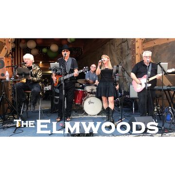 The Elmwoods - Cover Band - Oakland, CA - Hero Main