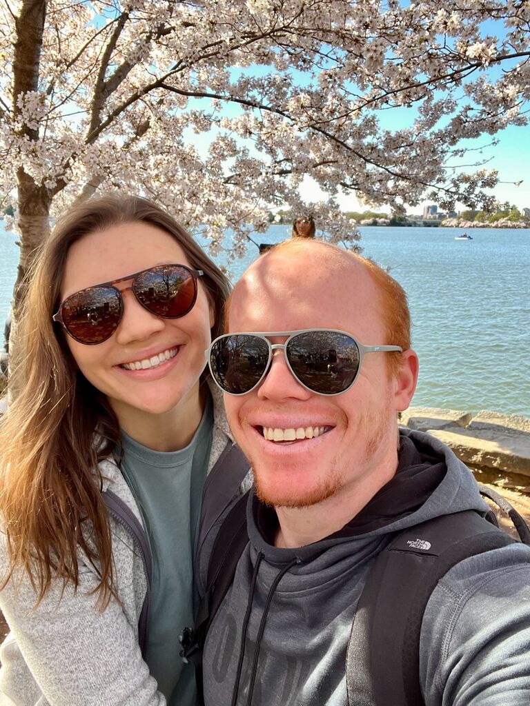 Cherry blossoms in peak bloom in DC