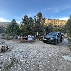 Gallery Photo 16