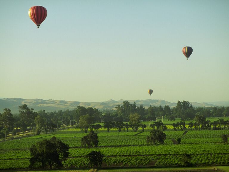 Hot air balloons over Napa Valley
