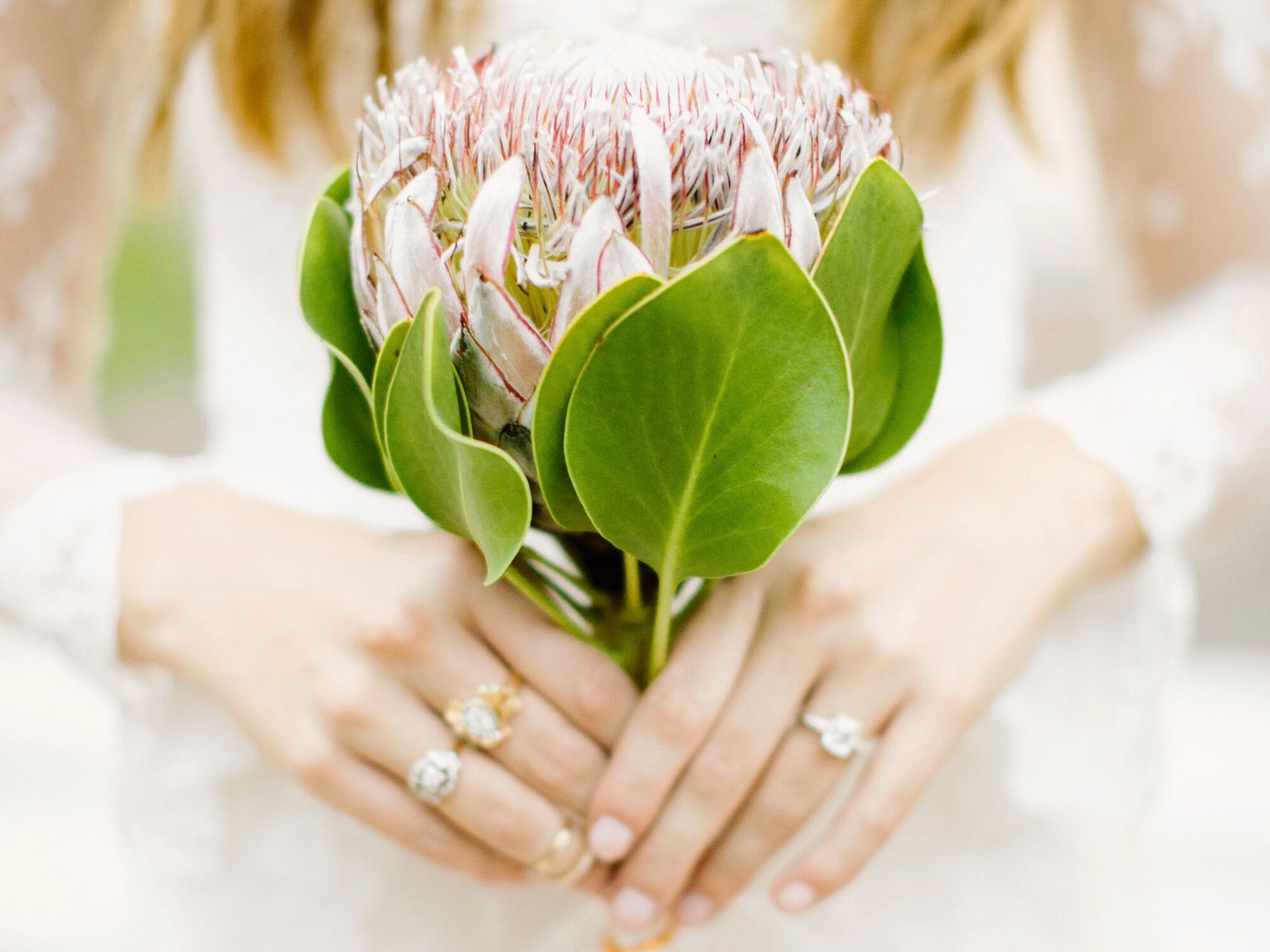 Single stem protea bridal bouquet