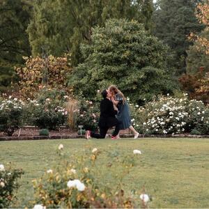 Gallery Photo 6