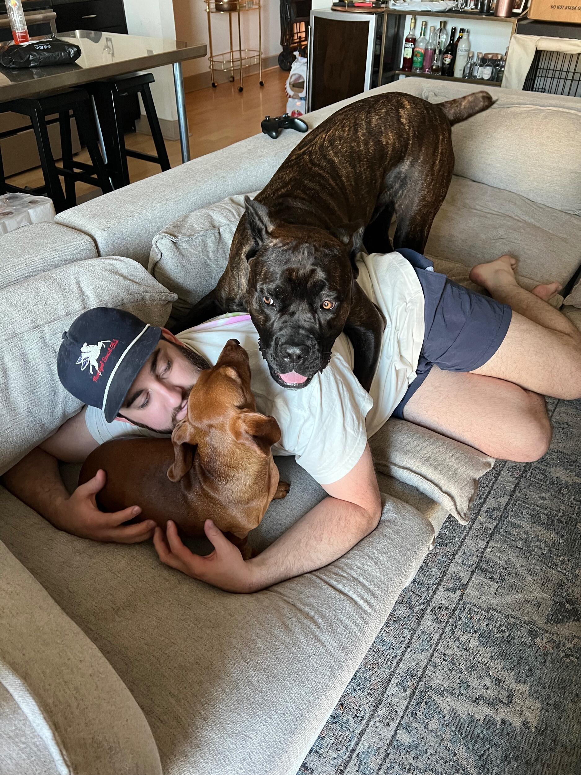 They moved in to a new apartment together in Deep Ellum, bringing all three of their pets with them.