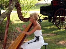 Julie - Harpist - Savannah, GA - Hero Gallery 2