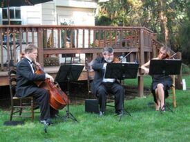 Royal Violins - String Quartet - Westwood, NJ - Hero Gallery 4