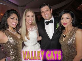 Valley Cats Band - Cover Band - Fresno, CA - Hero Gallery 3