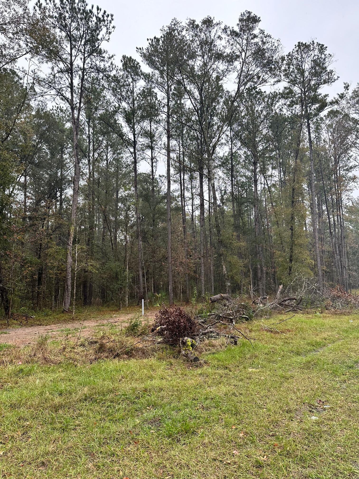 We bought land and planned to build a  home!