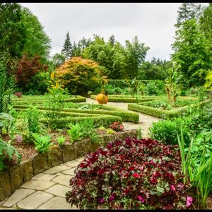 Gallery Photo 3