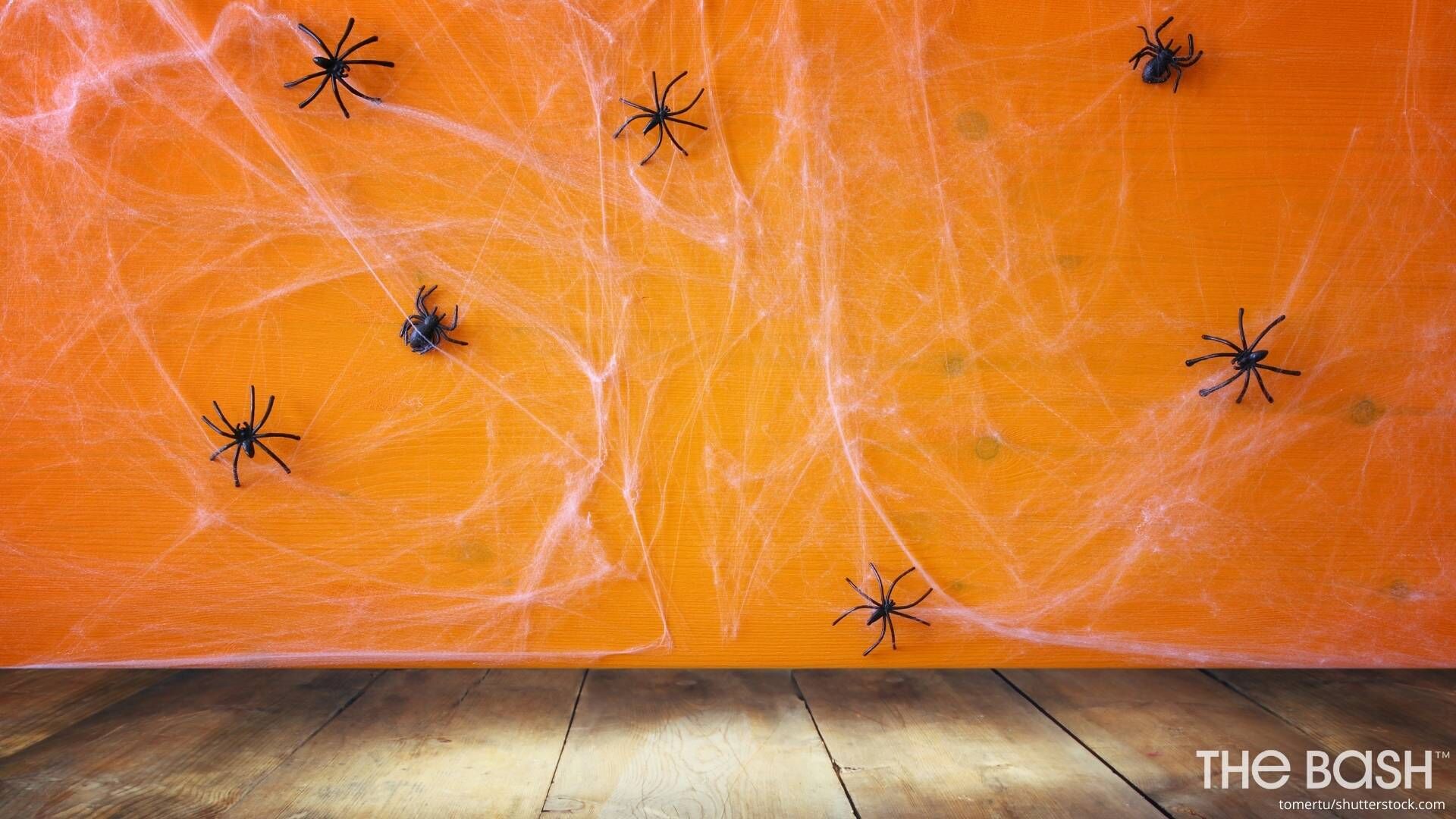 halloween spider wallpaper