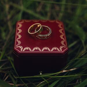 Gallery Photo 25
