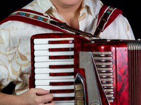 Val Sigal - Accordion music for any occasion - Polka Band - Milwaukee, WI - Hero Gallery 1