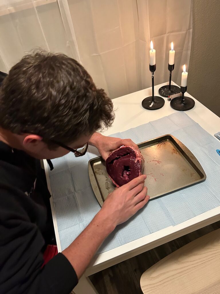We celebrated our three month anniversary by dissecting a cow heart. Weird? Maybe. The most on-brand date night we’ve had? Quite possibly. Shout outs to our ever favorite sister-in-law, Molly, for having organ meats from a cow share, and to DJ for providing the scalpals!