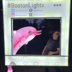 Gallery Photo 5